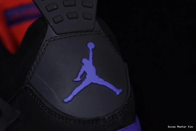 Jordan Retro AQ3816-065 Raptors